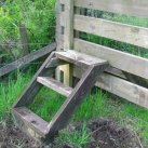 Just one of the obstacles. Cambridge Tree Trust.